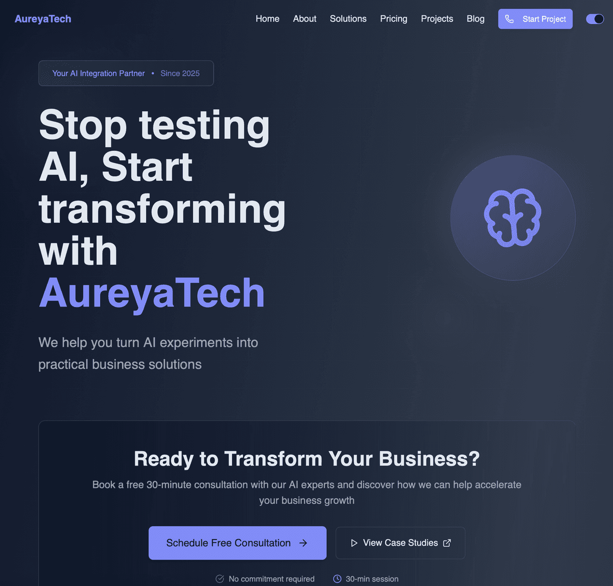 AureyaTech project screenshot